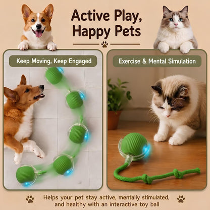 Interactive Cat Toy Automatic Moving Ball, Indoor Cats, Rechargeable, Green