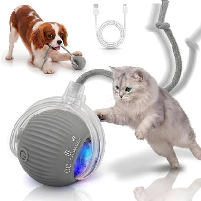 Interactive Cat Toy Automatic Moving Ball, Indoor Cats, Rechargeable, Gray